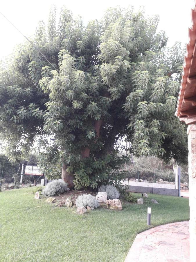 Agriturismo Quattro Mori Porto Torres Luaran gambar
